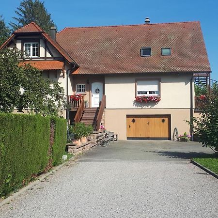 Gite "Le Platane" 45 M2 - Climatise Monswiller Экстерьер фото