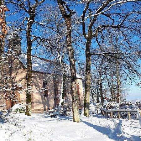 Gite "Le Platane" 45 M2 - Climatise Monswiller Экстерьер фото