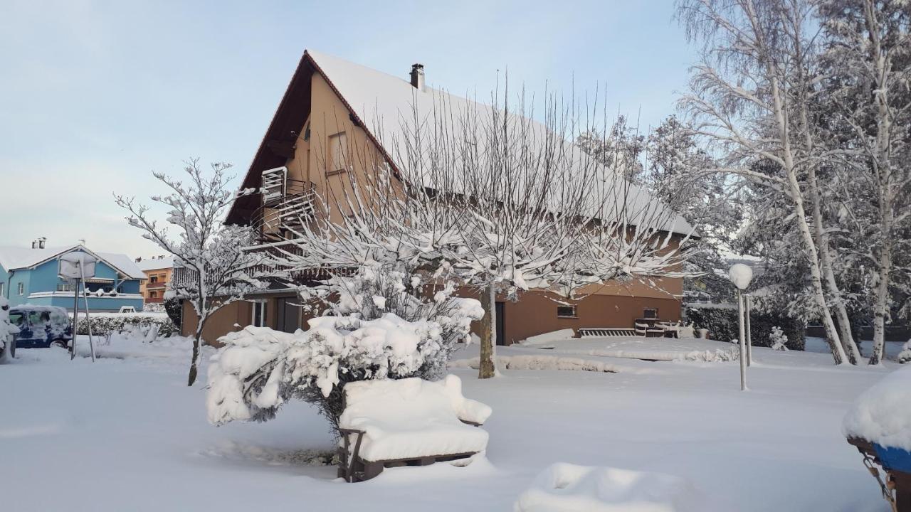 Gite "Le Platane" 45 M2 - Climatise Monswiller Экстерьер фото