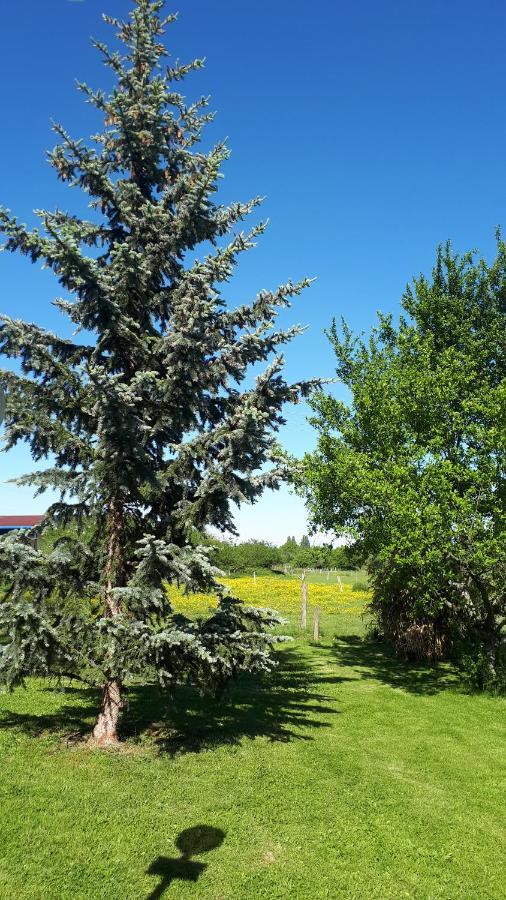 Gite "Le Platane" 45 M2 - Climatise Monswiller Экстерьер фото