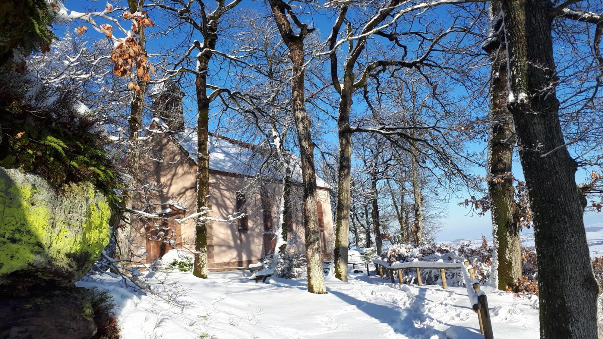 Gite "Le Platane" 45 M2 - Climatise Monswiller Экстерьер фото
